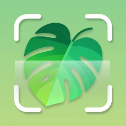 Plantid: تعرف على النباتات