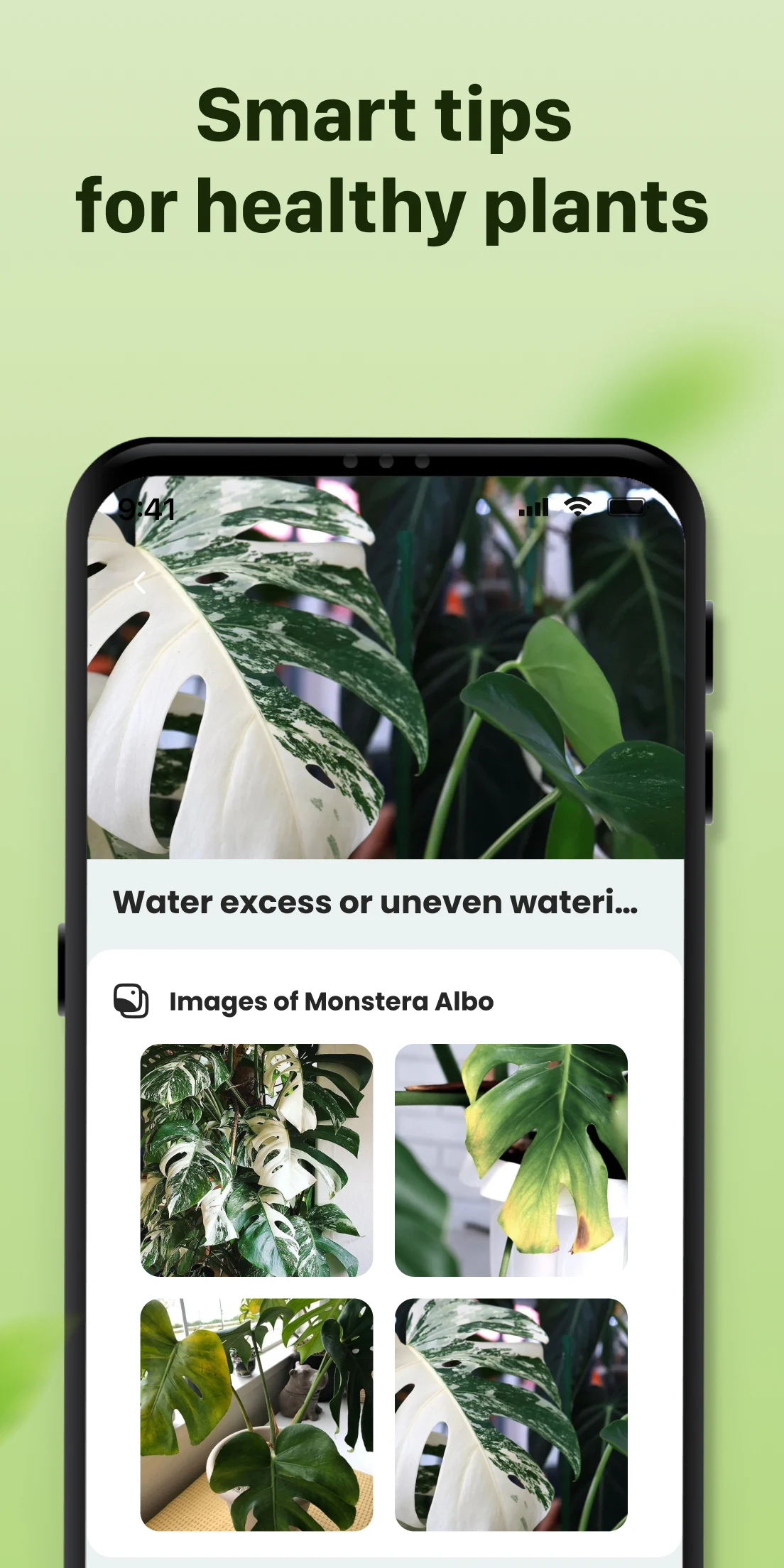 Plantid: Plant Identifier screenshot