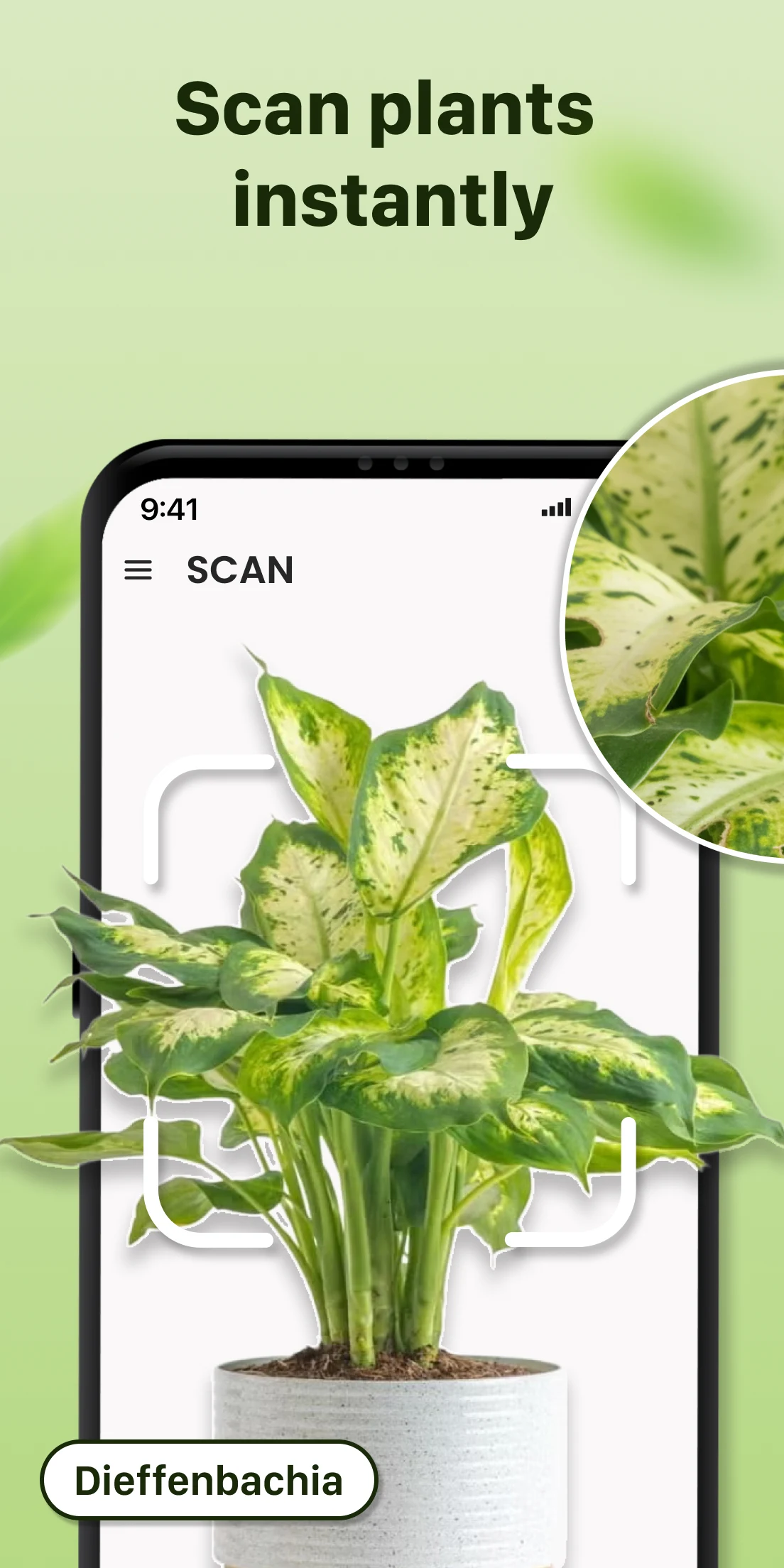 Plantid: Plant Identifier screenshot